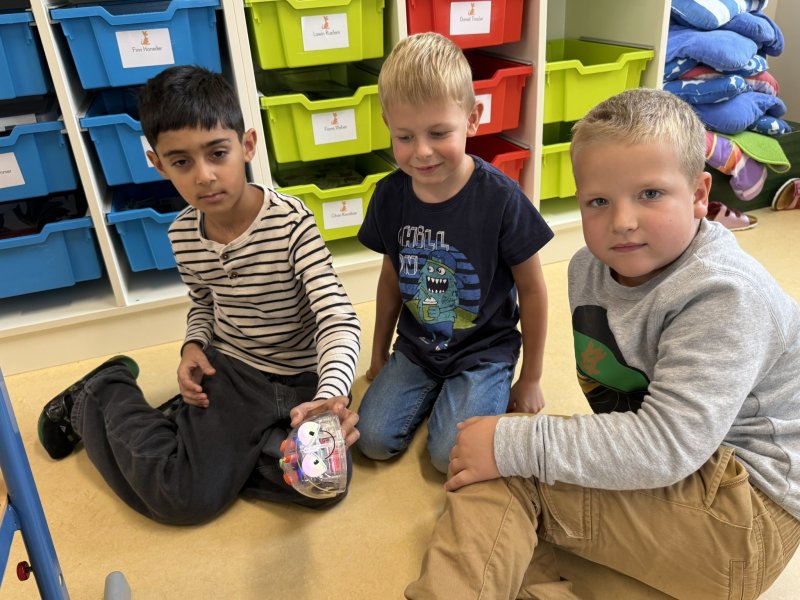 Beebots
